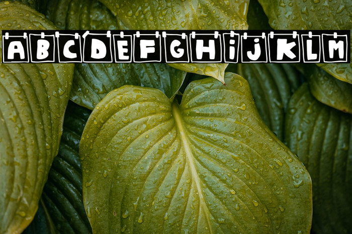 Wall Notes Example 2