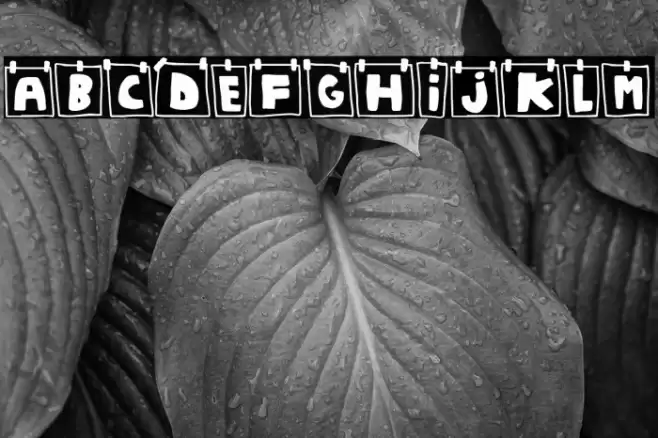 Wall Notes फ़ॉन्ट examples