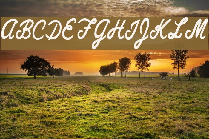 Wall Paper Personal Use Regular Font examples