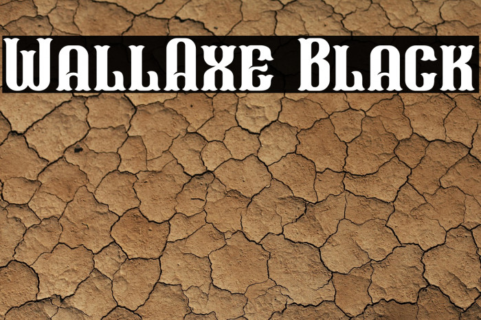 WallAxe Black Example 1