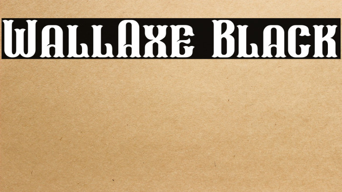 WallAxe Black Example 2