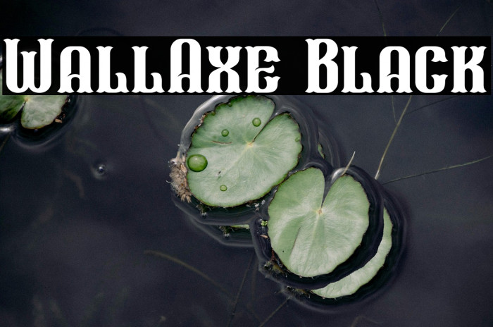WallAxe Black Example 3