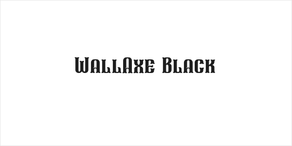WallAxe Black Logo