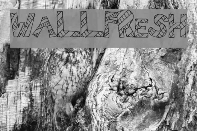 WallFresh Font examples