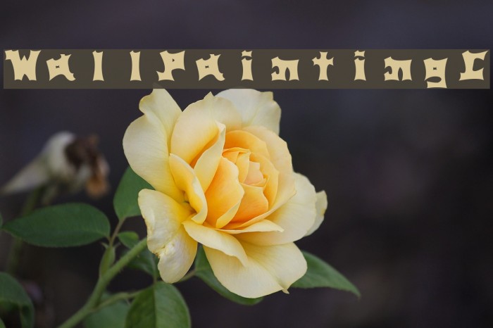 WallPaintingC Example 3