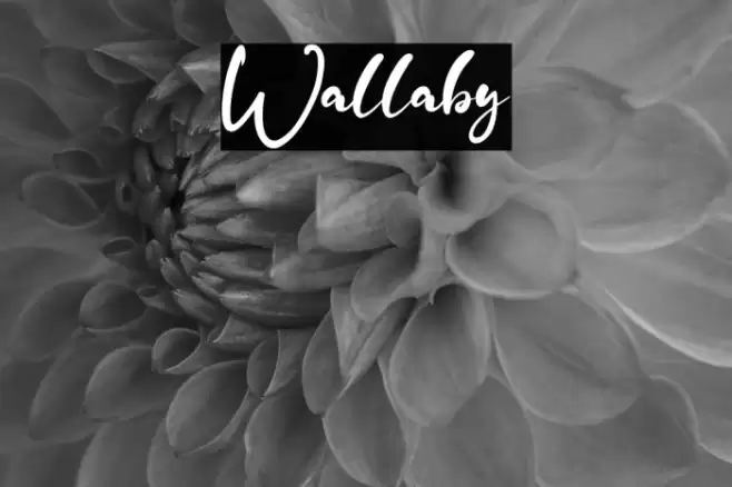 Wallaby Шрифта examples
