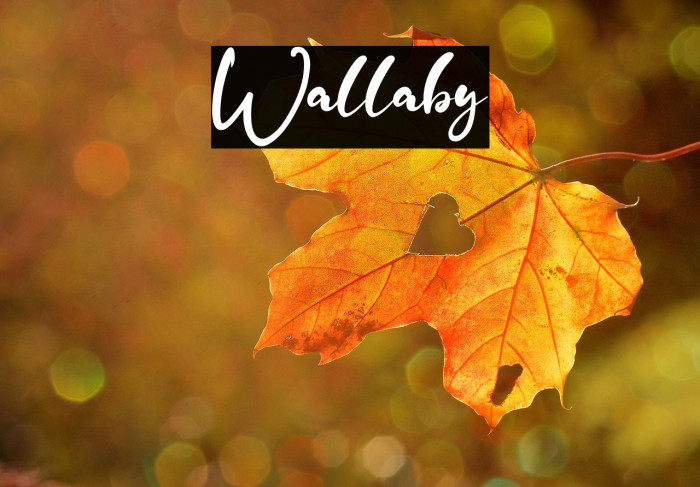 Wallaby 字体 examples