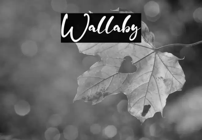 Wallaby Шрифта examples