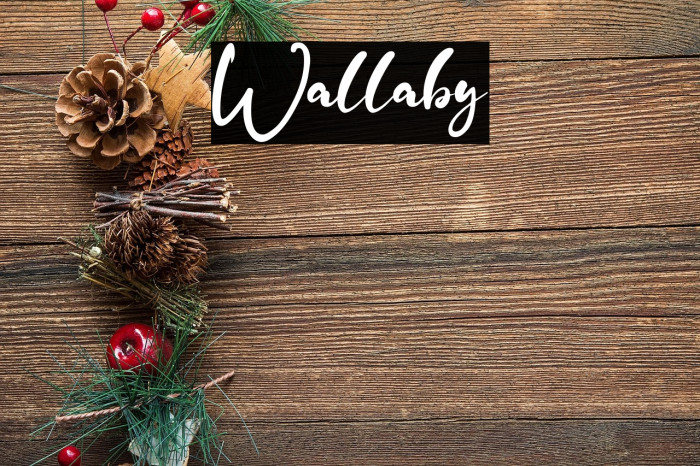 Wallaby 字体 examples