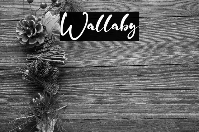 Wallaby Шрифта examples