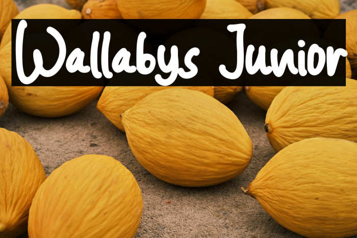 Wallabys Junior Example 2