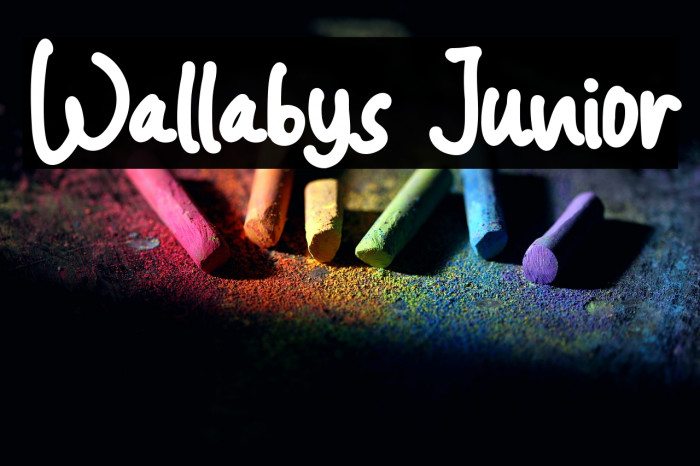 Wallabys Junior Example 3