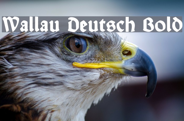 Wallau Deutsch Bold Font examples