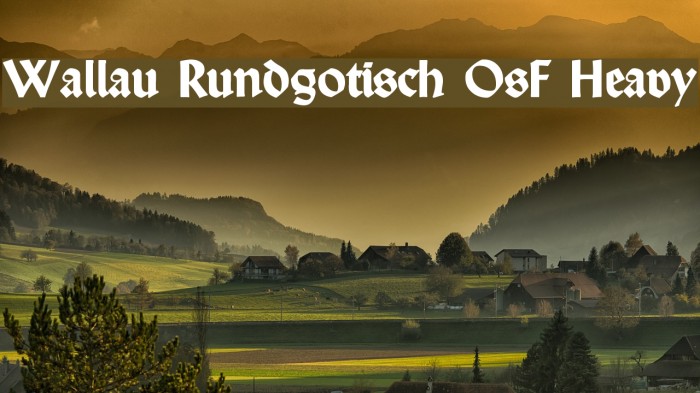 Wallau Rundgotisch OsF Heavy Font examples