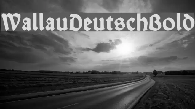 WallauDeutsch-Bold Font examples