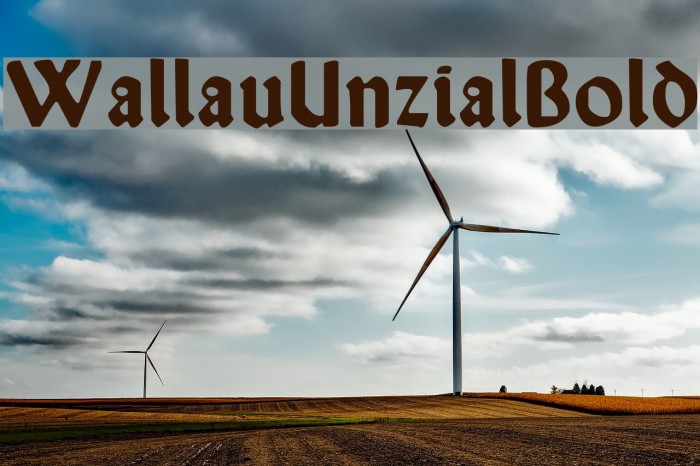 WallauUnzial-Bold Example 1