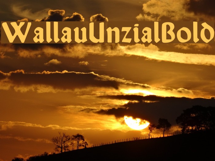 WallauUnzial-Bold Example 3