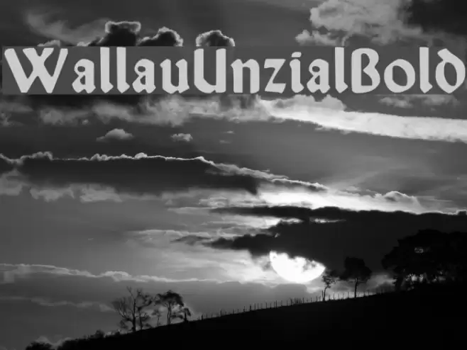 WallauUnzial-Bold Font examples
