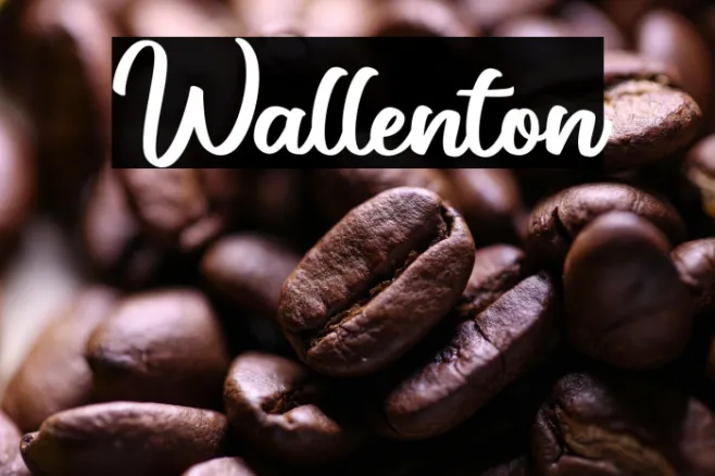 Wallenton Example 1