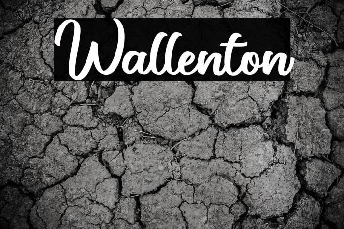 Wallenton Example 3