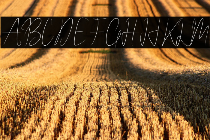 WalletSignature Example 1