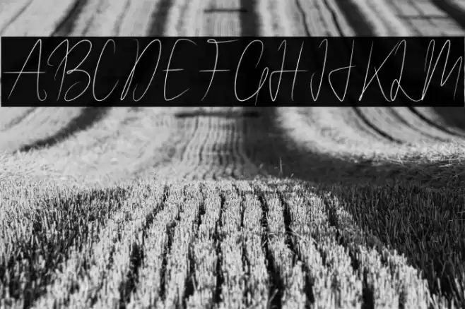 WalletSignature Font examples