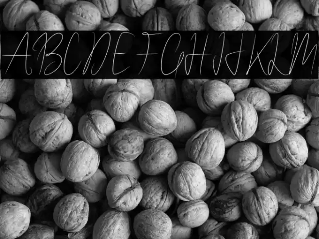 WalletSignature Font examples