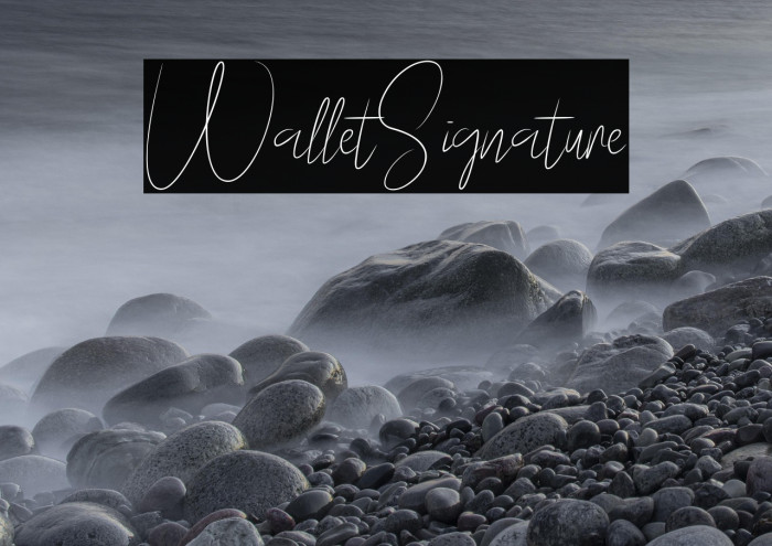 WalletSignature Example 3