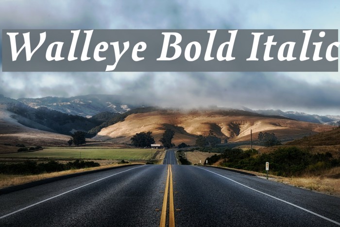 Walleye Bold Italic Font examples