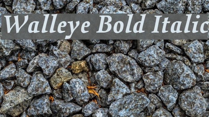 Walleye Bold Italic Font examples