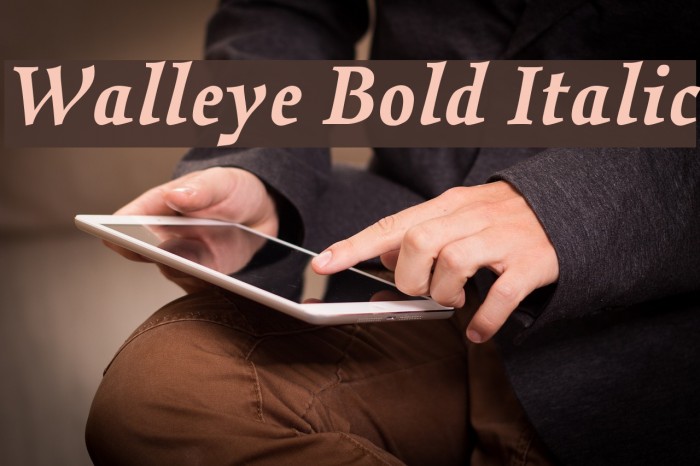 Walleye Bold Italic Font examples