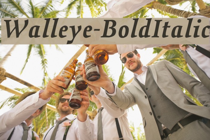 Walleye-BoldItalic Font examples