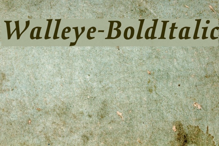 Walleye-BoldItalic Font examples