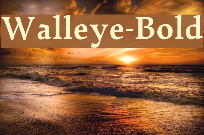 Walleye-Bold Font examples