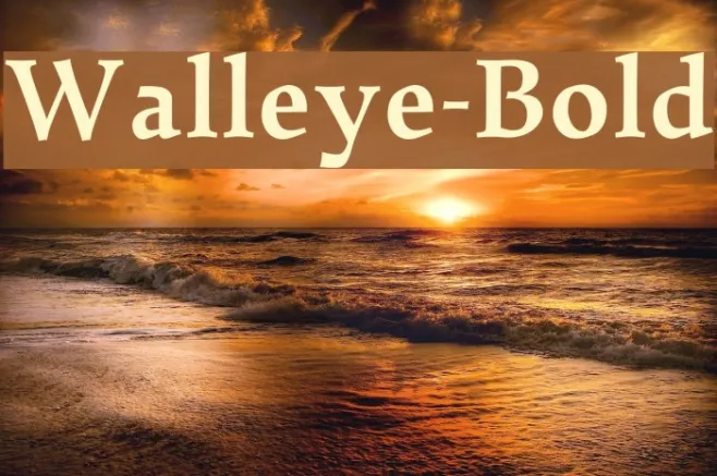 Walleye-Bold Example 1