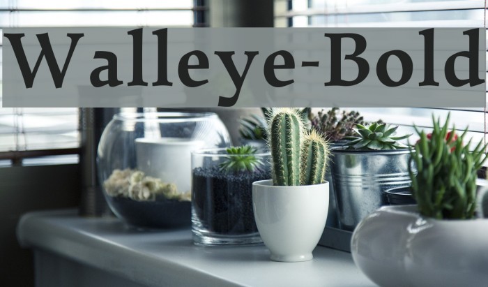 Walleye-Bold Font examples