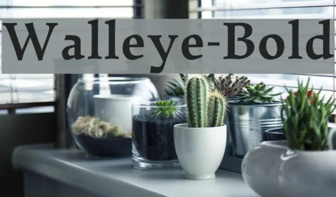 Walleye-Bold Example 2