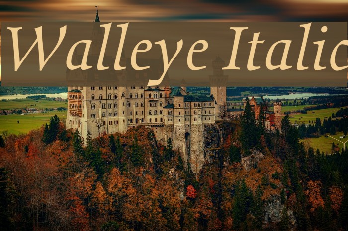 Walleye Italic Font examples
