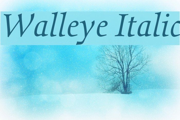 Walleye Italic Font examples