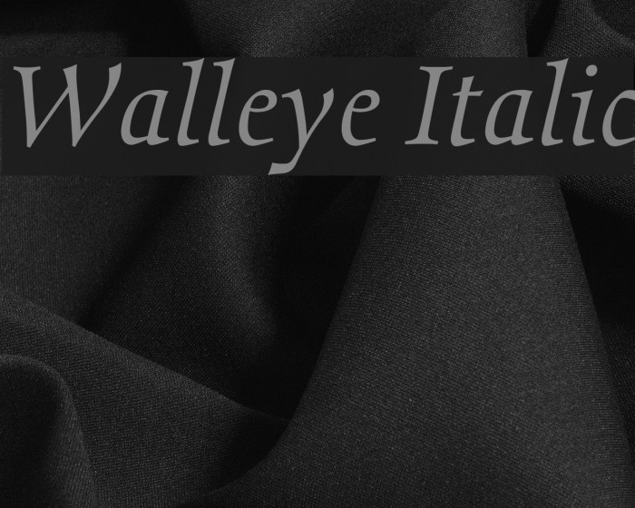 Walleye Italic Font examples