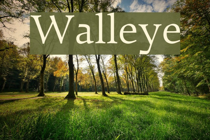 Walleye Font examples