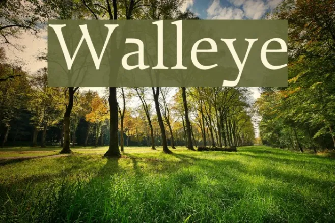 Walleye Example 1