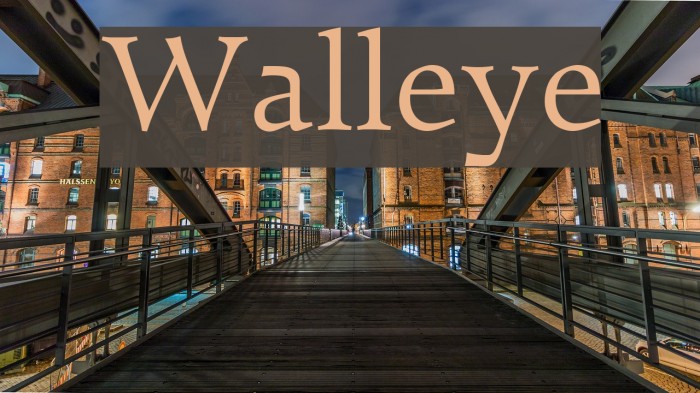 Walleye Font examples