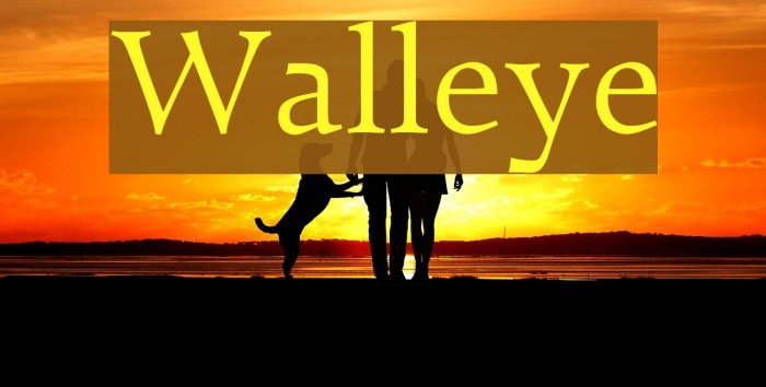 Walleye Font examples