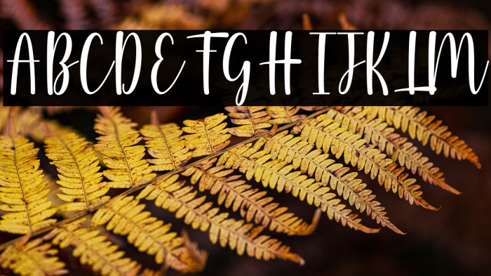 Wallflowers Example 1