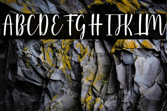 Wallflowers Example 2