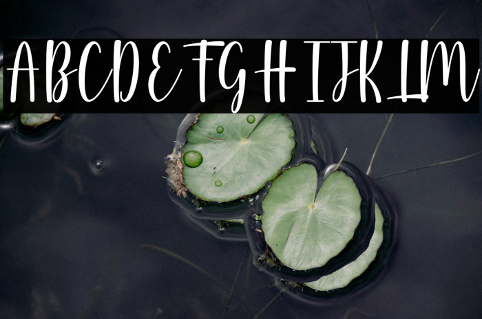 Wallflowers Example 3