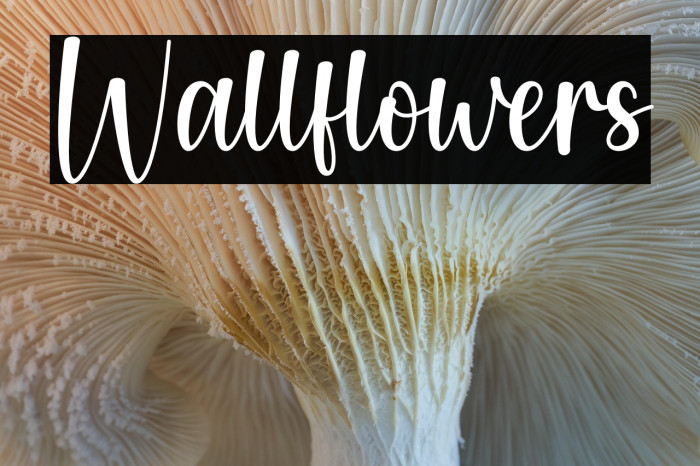 Wallflowers Example 2