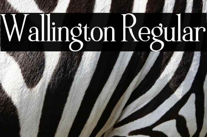 Wallington Regular Font examples
