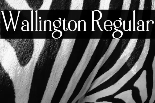 Wallington Regular Fonte examples